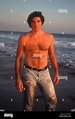 MALIBU, CA - OCTOBER 24: (EXCLUSIVE) Actor Paul Johansson poses during ...