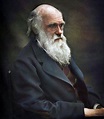 Charles Darwin (ca. 1874) | Charles darwin, Colorized history, Darwin