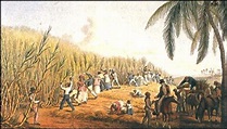 Historia de Jamaica | Conocer la Historia de Jamaica
