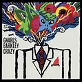 Gnarls Barkley: Crazy (Music Video 2006) - IMDb