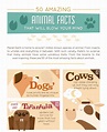 50 Amazing Animal Facts That Will Blow Your Mind - Venngage Infographic ...
