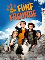 Fünf Freunde - Film 2011 - FILMSTARTS.de