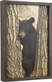 Hobbitholeco. Asiatic Black Bear Framed Photographic Wall Art | Black ...
