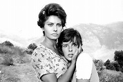 Bild zu Sophia Loren - Und dennoch leben sie : Bild Sophia Loren - Foto ...