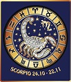 Scorpio Zodiac Sign | Знаки зодиака, Зодиак, Дева знак