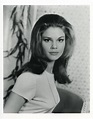 Wende Wagner as Miss Case in the 1960s TV series, The Green Hornet ...