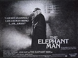 The Elephant Man – Vintage Classics