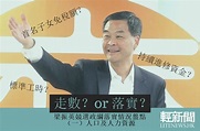 【輕盤點】梁振英政綱回顧：人口及人力資源 - 香港輕新聞 Lite News Hong Kong