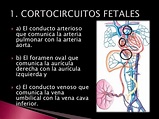 Reanimación neonatal