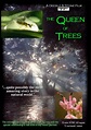 The Queen of Trees (2005) | The Poster Database (TPDb)