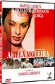 Filme - A Bela Moleira (La bella mugnaia / The Miller's Beautiful Wife ...