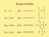 Clase 04 bases quimicas | PPT