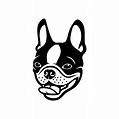 Boston Terrier Dog Logo Vector Illustration — Stock Vector © I.Petrovic ...