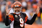 Carson Palmer tells the truth about the Bengals that we already knew ...