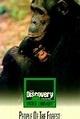 People of the Forest: The Chimps of Gombe (1988) - Rotten Tomatoes