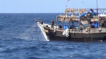 團體指中國漁船越朝鮮非法捕魚 朝漁民被迫越洋作業意外頻生現「鬼船」 (18:30) - 20200723 - 兩岸 - 即時新聞 - 明報新聞網