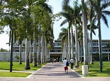 University of Miami in Coral Gables, Florida image - Free stock photo ...