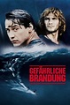 Gefährliche Brandung / Point Break - Film 1991-07-12 - Kulthelden.de