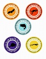 Discos de Poder animal | Wiki Aventuras con los kratt | Fandom powered ...