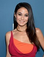 Picture of Emmanuelle Chriqui