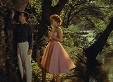 Picnic ( 1955 ) - Silver Scenes - A Blog for Classic Film Lovers
