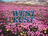 Westkust celebrate unconditional love on epic shoegaze song "Cotton ...