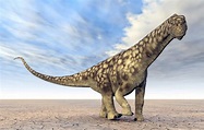 Argentinosaurus: el dinosaurio más grande que existió - Mis Animales
