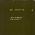 Echo & The Bunnymen – I Want To Be There When You Come (1997, Vinyl ...