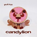 Gruff Rhys - Candylion Lyrics and Tracklist | Genius