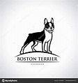 Boston Terrier Dog Logo Vector Illustration Stock Vector Image by ©I ...