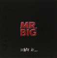 What If: Mr Big: Amazon.ca: Music