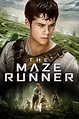 The Maze Runner (2014) - Posters — The Movie Database (TMDB)