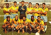 Brasil (1966). | National football teams, Football photos, Football team