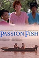 Passion Fish (1992) — The Movie Database (TMDb)