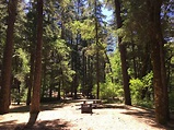 Forest Glen Campground – Go Camping America