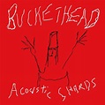 Buckethead - Acoustic Shards (2007) | Metal Academy
