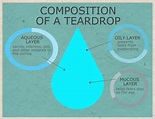 Chemical Composition of a Teardrop