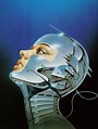 LogiCult: Hajime Sorayama