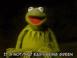 Kermit Its Not Easy Being Green GIFs | Tenor