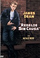 Rebelde Sin Causa James Dean Pelicula Dvd - $ 169.00 en Mercado Libre