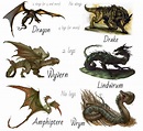 Types of dragons, Dragon art, Dragon artwork