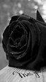 Miss You | The House of Beccaria~ Black Roses Wallpaper, Gothic ...