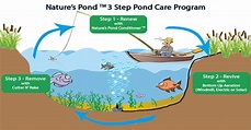 Nature's Pond Care: Natural Pond Treatment Solutions | Wind, Electric ...