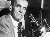 Walter Adams | American astronomer | Britannica