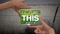 Picture This - YouTube