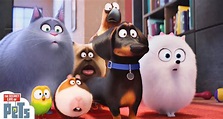 Personagens do filme Pets invadem o desfile da Universal Studios ...