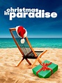 Christmas in Paradise - Full Cast & Crew - TV Guide
