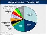 Ethnic origin and visible minorities | 2016 census highlights | ontario.ca