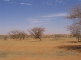 savanna dry season - Geo for CXC