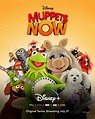 The Pig's Out of the Bag! 'Muppets Now' Will Premiere July 31 on ...